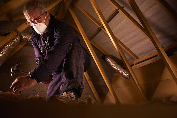 Types of Insulation We Offer in Burlington, WA